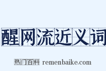 醒网流近义词是什么意思的图片